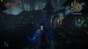 witcher2 2011-07-30 09-16-55-13.jpg
